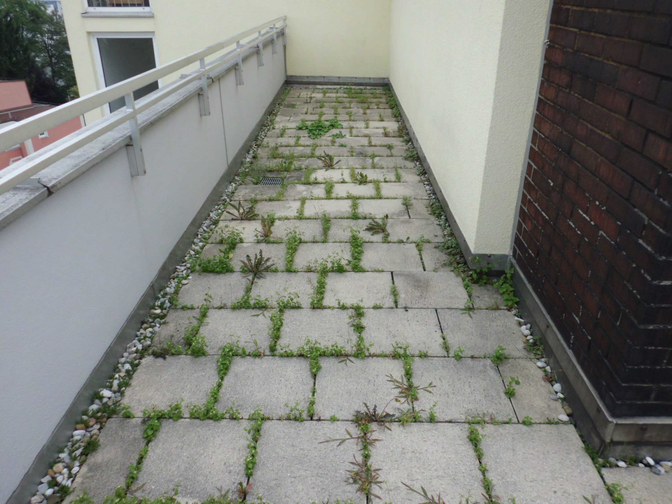 Schmaler Gang mit Steinplatten und Unkraut in den Fugen am Geländer Schmaler Gang mit Steinplatten und Unkraut in den Fugen am Geländer