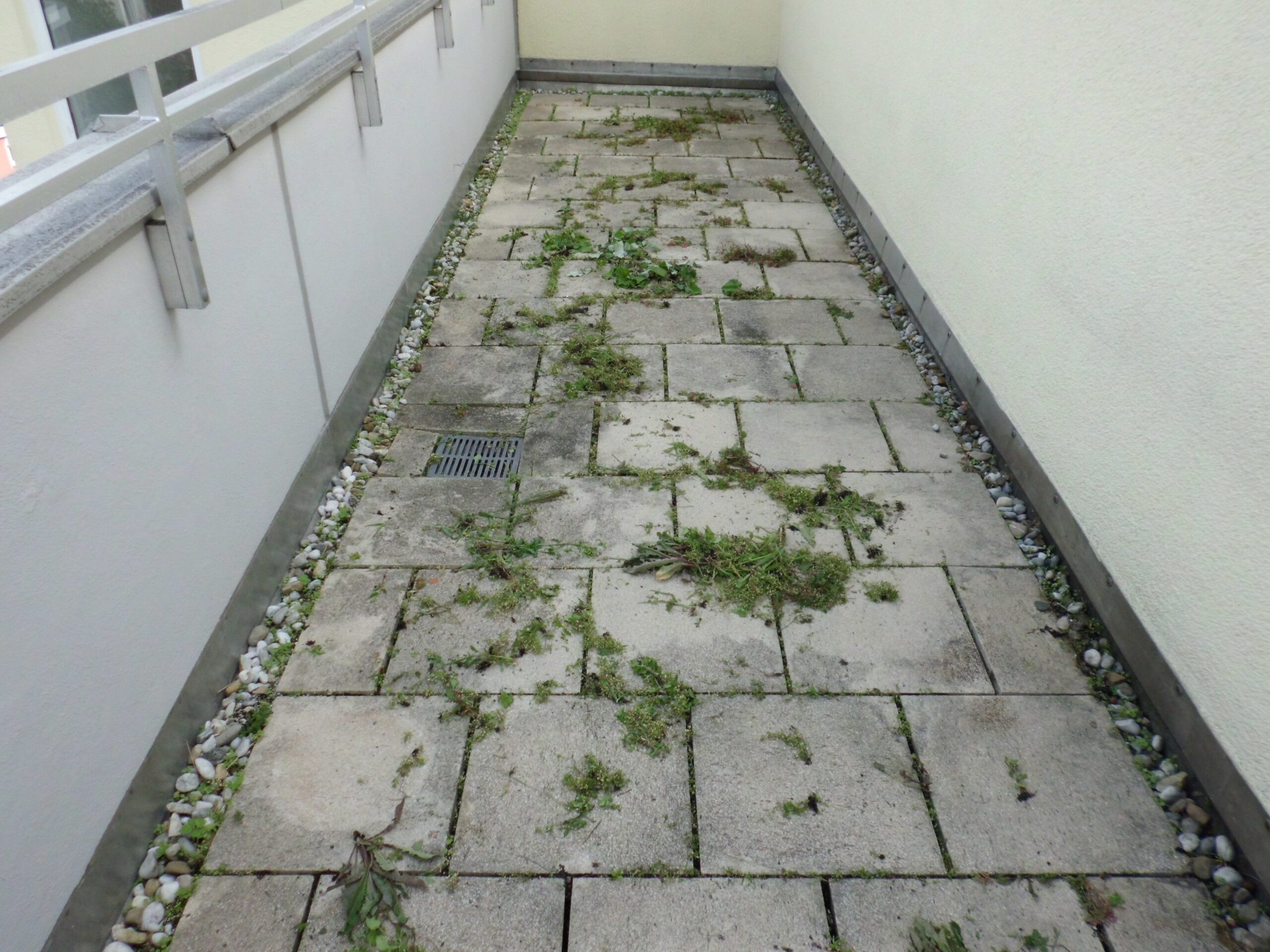 Schmaler Gang mit Steinplatten und Unkraut in den Fugen, Kiesstreifen am Rand Schmaler Gang mit Steinplatten und Unkraut in den Fugen, Kiesstreifen am Rand