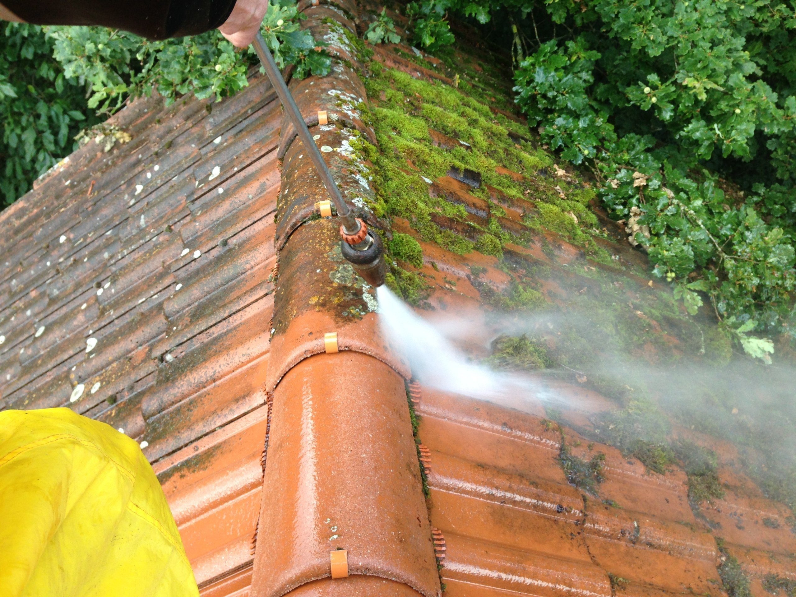 Czyszczenie dachów z powłoką dachową 4 moos vom dach entfernen scaled