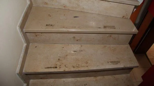 Steintreppe mit hellen Stufen und Kleberresten auf den Trittflächen